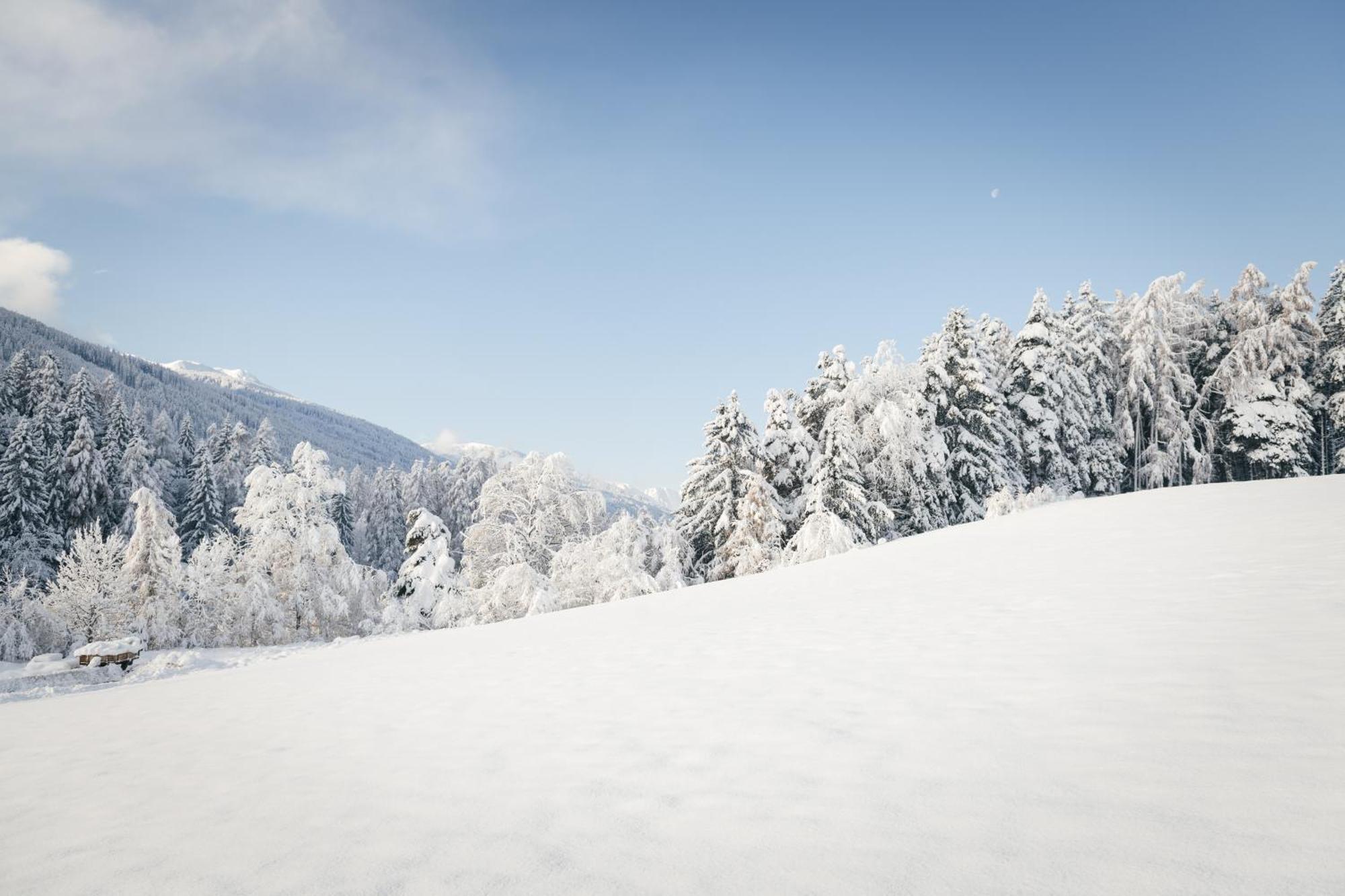 Neu Gotzens Edenhauserhof المظهر الخارجي الصورة